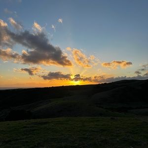 Meet your Posher, Jolee